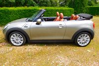 Cooper D Cabrio 1.5 DA - LEDER/NAVI/AIRCO/CAMERA/LED/HARMAN KARDON