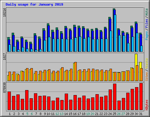Daily usage for January 2019
