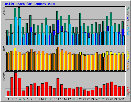 Daily usage for January 2020