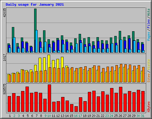 Daily usage for January 2021