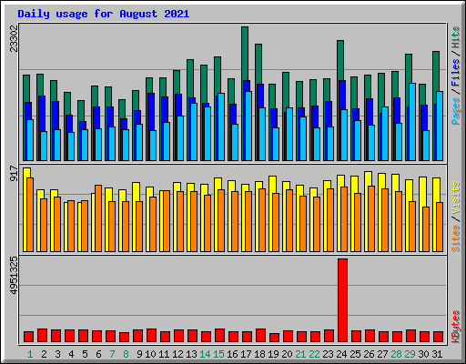 Daily usage for August 2021