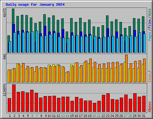 Daily usage for January 2024