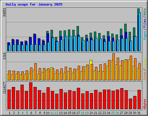 Daily usage for January 2025