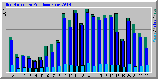 Hourly usage for December 2014