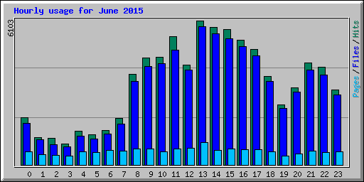 Hourly usage for June 2015
