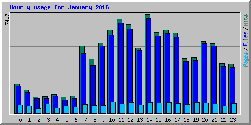 Hourly usage for January 2016