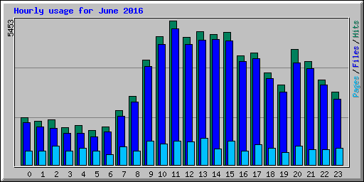Hourly usage for June 2016