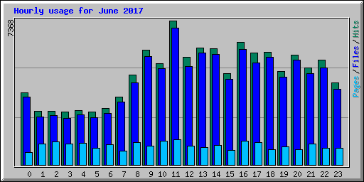 Hourly usage for June 2017