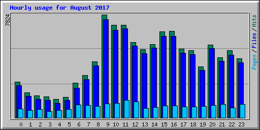 Hourly usage for August 2017