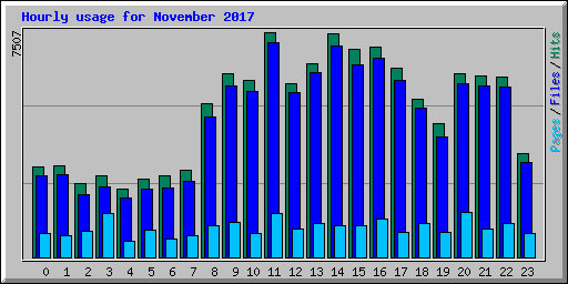 Hourly usage for November 2017