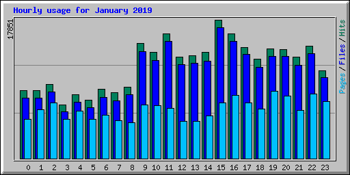 Hourly usage for January 2019