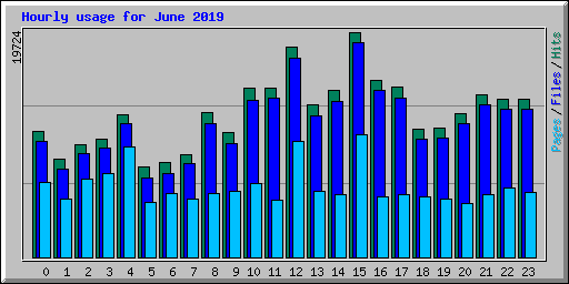 Hourly usage for June 2019
