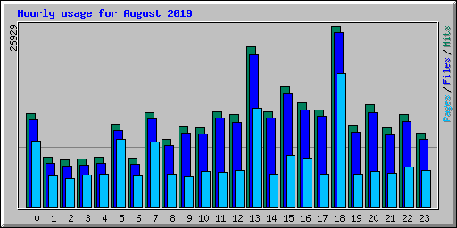 Hourly usage for August 2019
