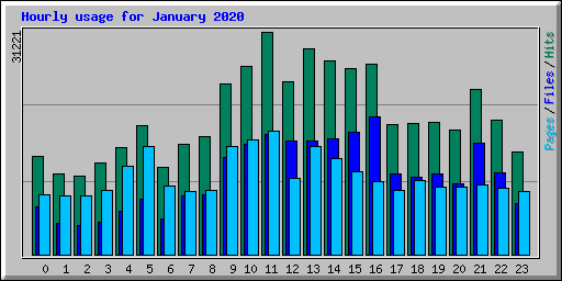 Hourly usage for January 2020