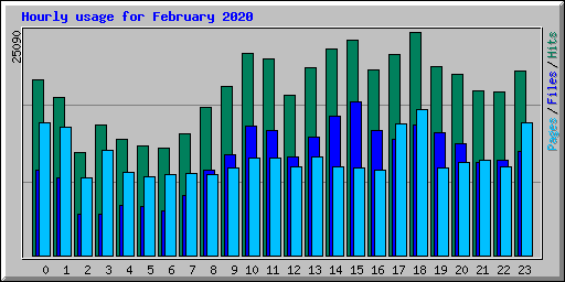 Hourly usage for February 2020