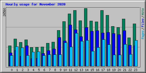 Hourly usage for November 2020