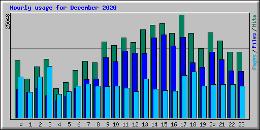 Hourly usage for December 2020