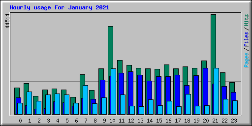 Hourly usage for January 2021
