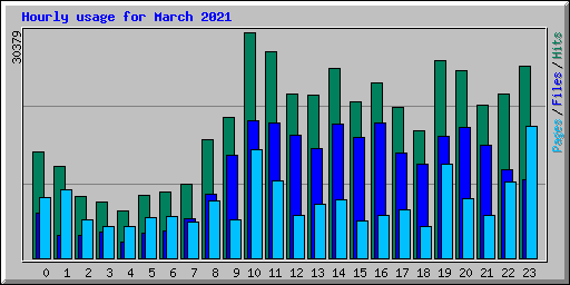 Hourly usage for March 2021