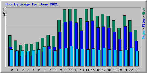 Hourly usage for June 2021