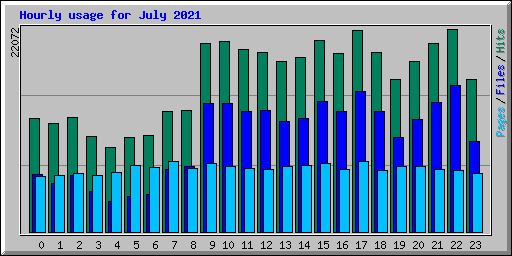 Hourly usage for July 2021