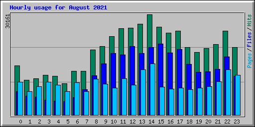 Hourly usage for August 2021