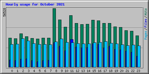 Hourly usage for October 2021