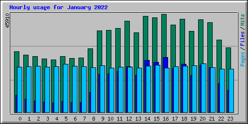 Hourly usage for January 2022