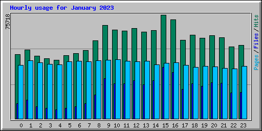 Hourly usage for January 2023