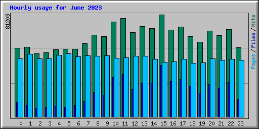 Hourly usage for June 2023