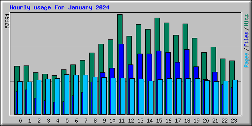 Hourly usage for January 2024