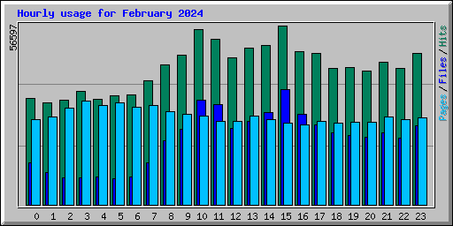 Hourly usage for February 2024