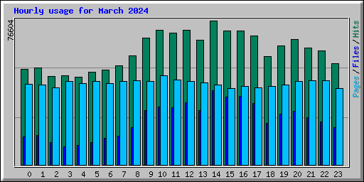 Hourly usage for March 2024