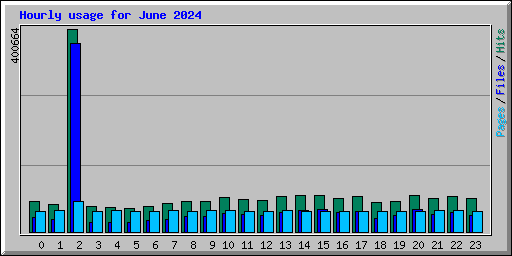 Hourly usage for June 2024