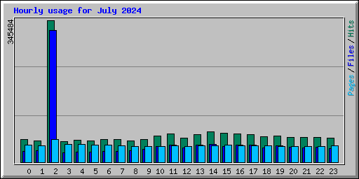 Hourly usage for July 2024