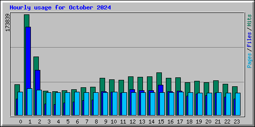 Hourly usage for October 2024