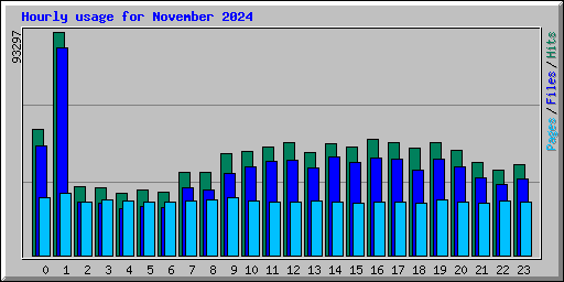 Hourly usage for November 2024