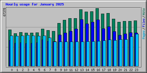 Hourly usage for January 2025