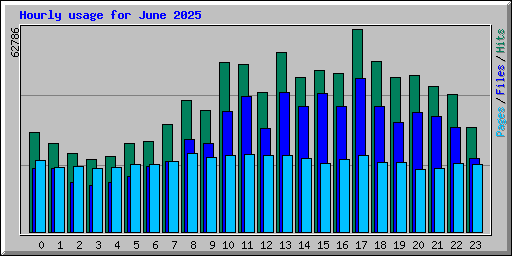 Hourly usage for June 2025