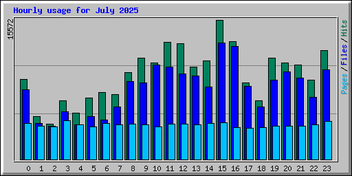 Hourly usage for July 2025