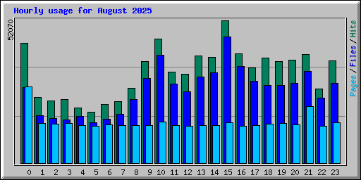 Hourly usage for August 2025