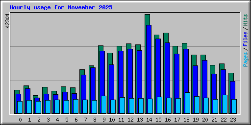 Hourly usage for November 2025