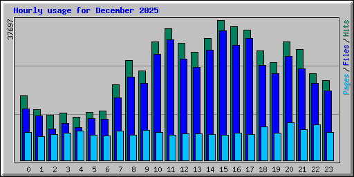 Hourly usage for December 2025