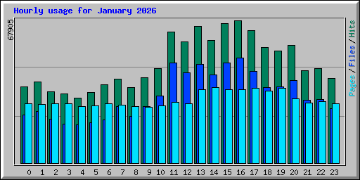 Hourly usage for January 2026