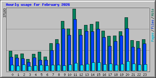 Hourly usage for February 2026