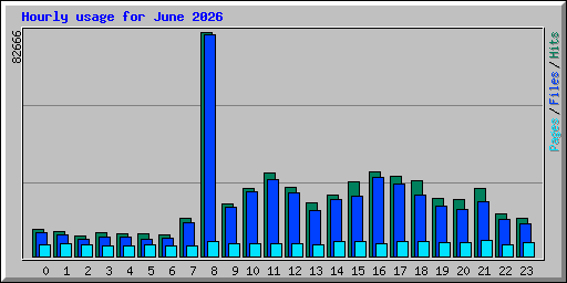Hourly usage for June 2026